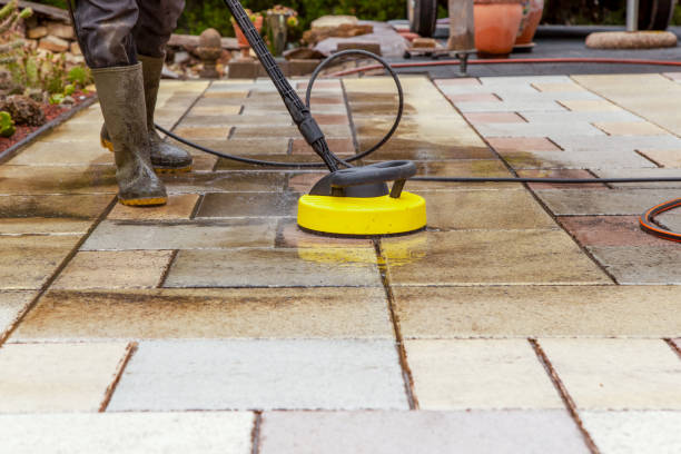 Best Animal Enclosure Cleaning  in Negaunee, MI