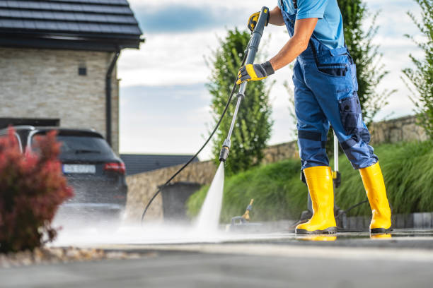 Best Residential Exterior Washing  in Negaunee, MI